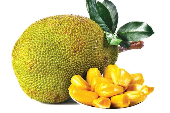 Jackfruit